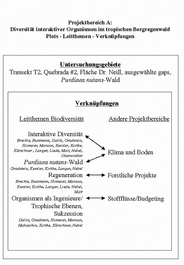 Projektbereich A: Plots - Leitthemen - Verknüpfungen